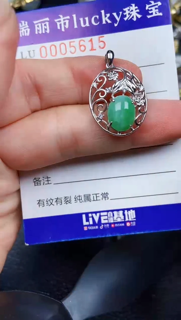 翡翠银S925镶嵌颈饰5615