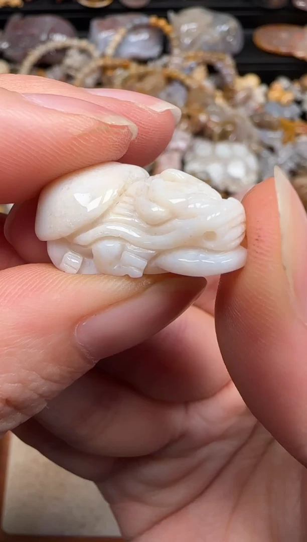 硅化珊瑚（珊瑚玉）未镶嵌颈饰678