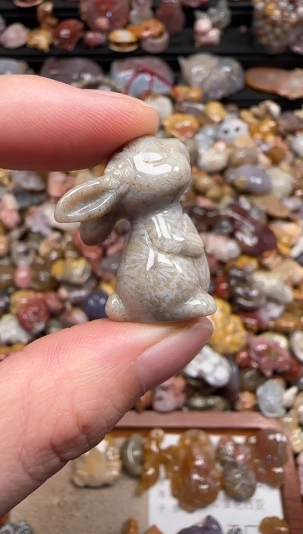 硅化珊瑚（珊瑚玉）未镶嵌颈饰729