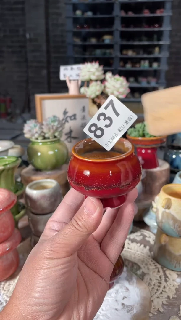 瓷片837知木小芳花盆