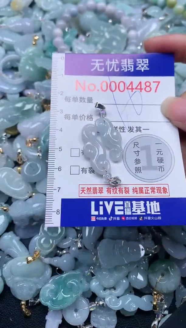 颈饰未镶嵌翡翠4487
