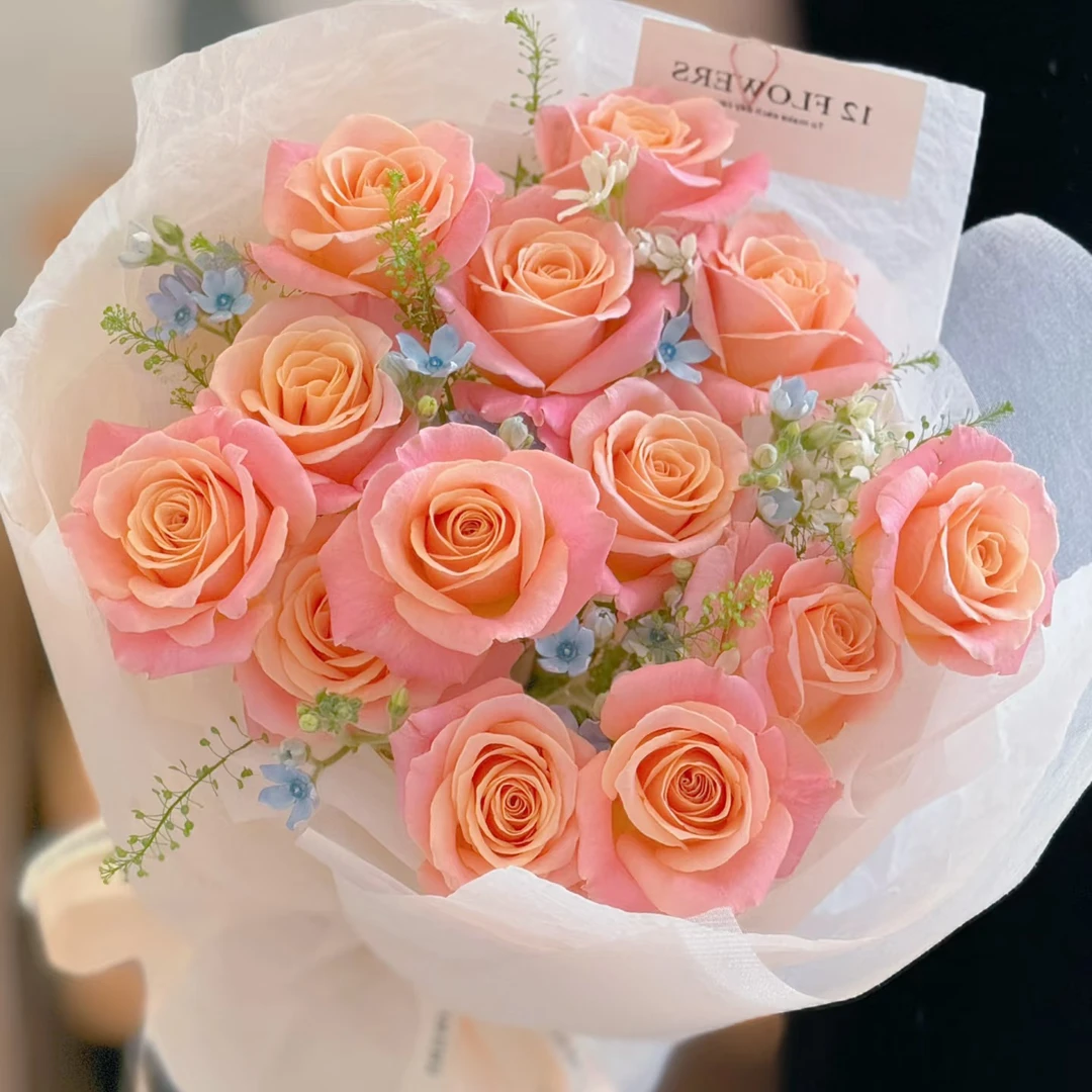 套餐46 朱小姐玫瑰10支+蓝星花一把