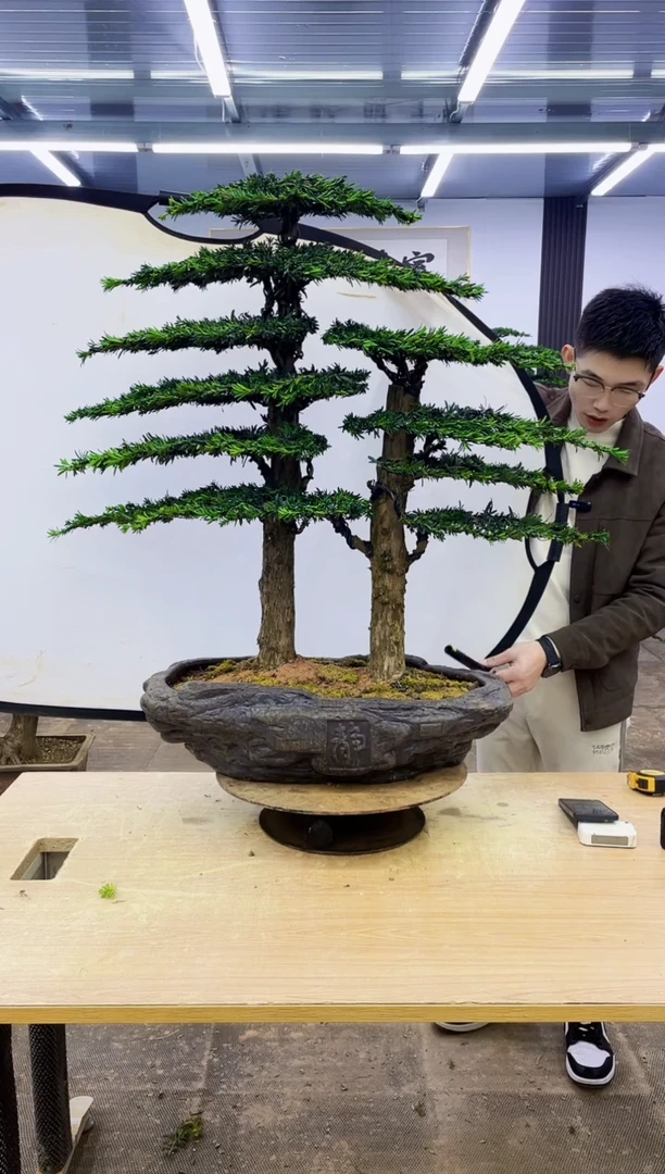 无花朵00000000000000000