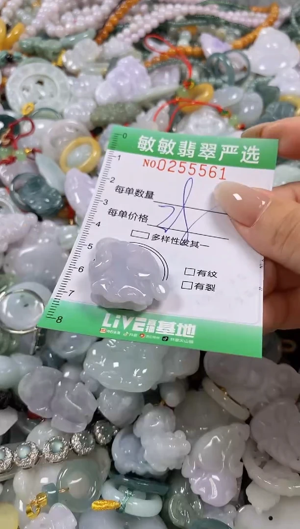 翡翠未镶嵌颈饰闪购0255561