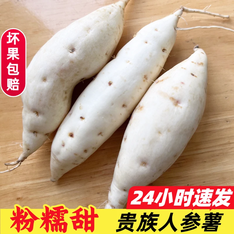 牛奶人参薯新鲜小白薯板栗爆皮王红薯番薯白心农家桥头地瓜白红薯
