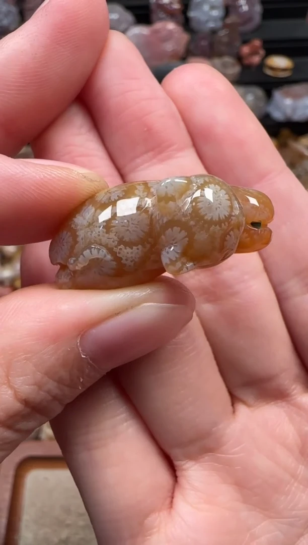 颈饰未镶嵌硅化珊瑚（珊瑚玉）683