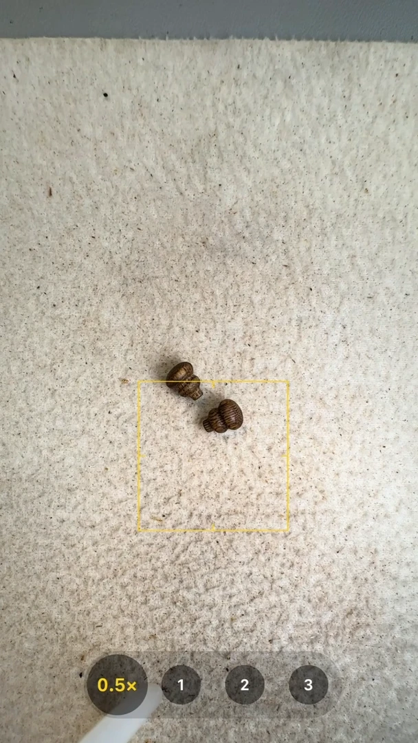 沉香手串鱼*2个葫芦14