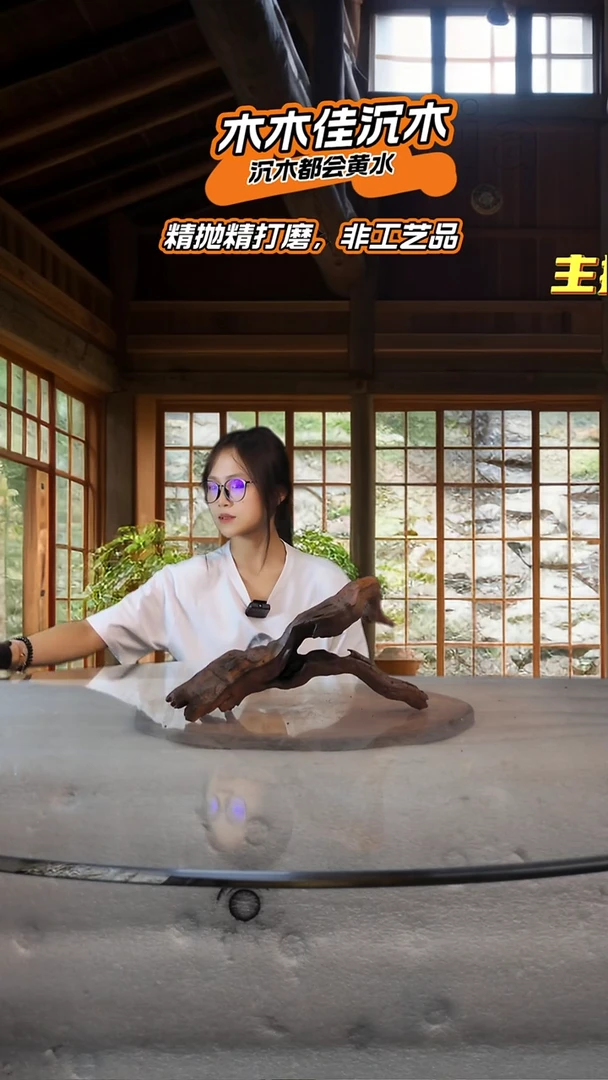 晴**海木木佳鱼缸造景沉木-587