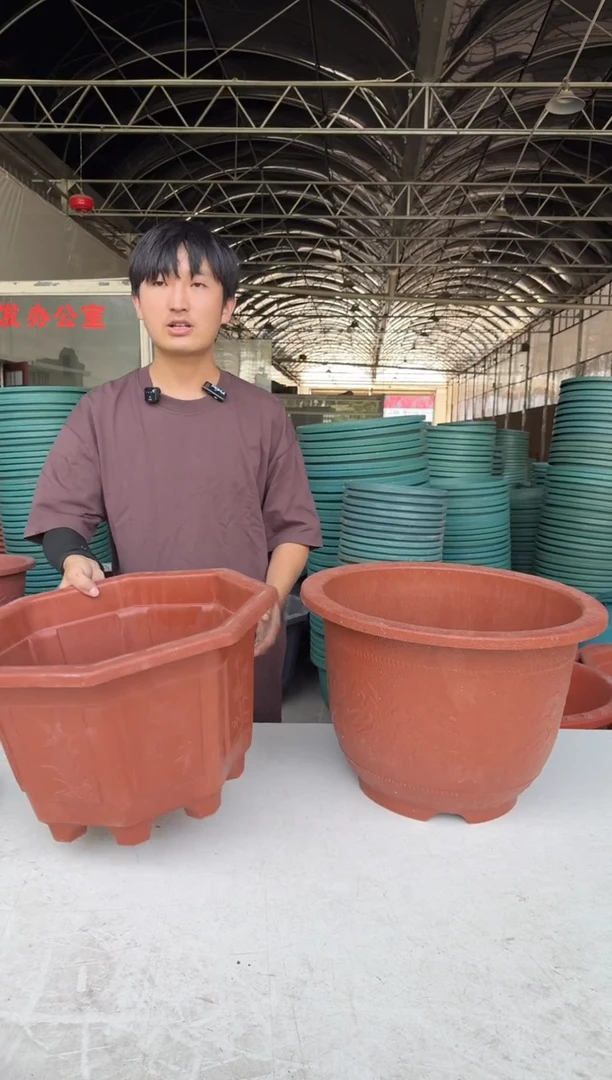 45八角花盆1，45红欧花1