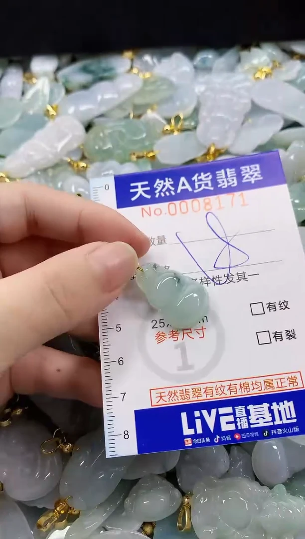颈饰未镶嵌翡翠天然A货翡翠