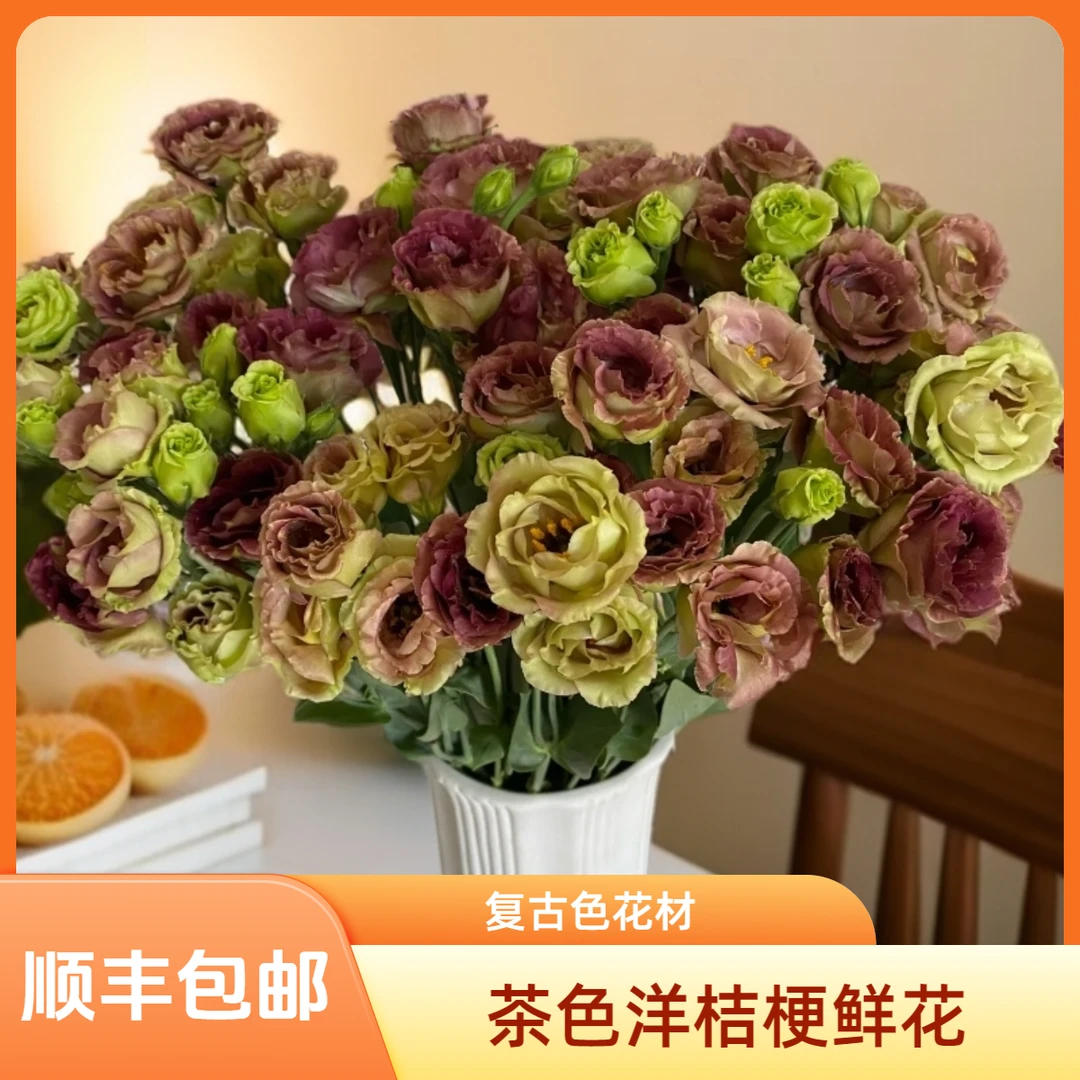 【花喜甄选】茶色洋桔梗无刺玫瑰云南基地现采现发生活插花顺丰包邮