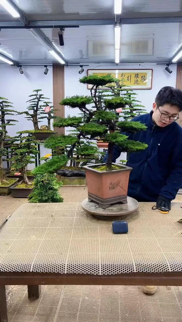 【闪购商品】0000000