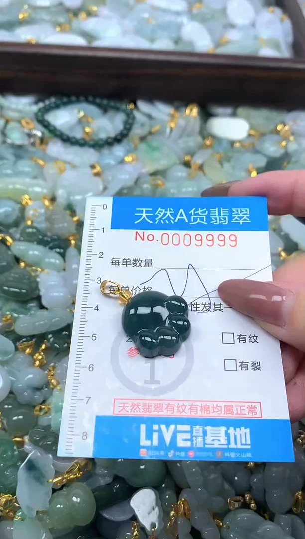 颈饰未镶嵌翡翠净货挂件-9999