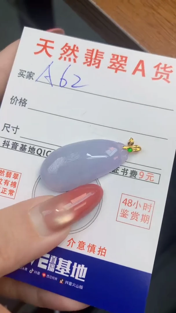 颈饰未镶嵌翡翠天然A货翡翠挂件