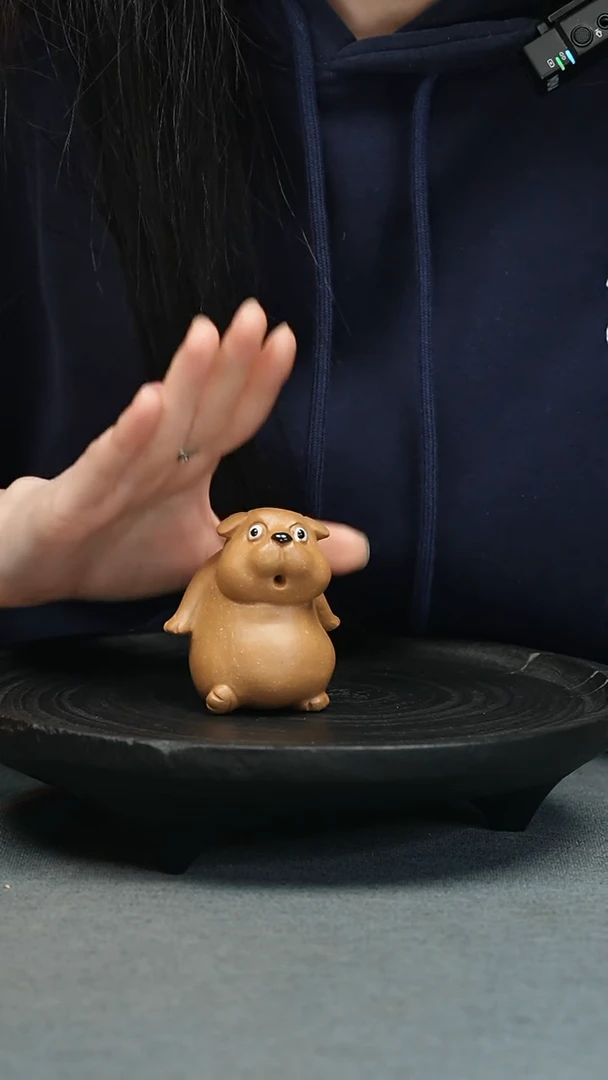 【闪购商品】茶宠茶宠-目瞪狗呆-大