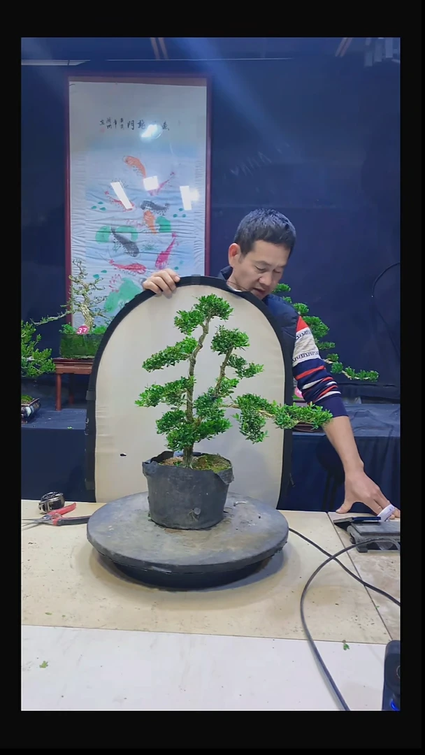 无花朵正**?111111111111
