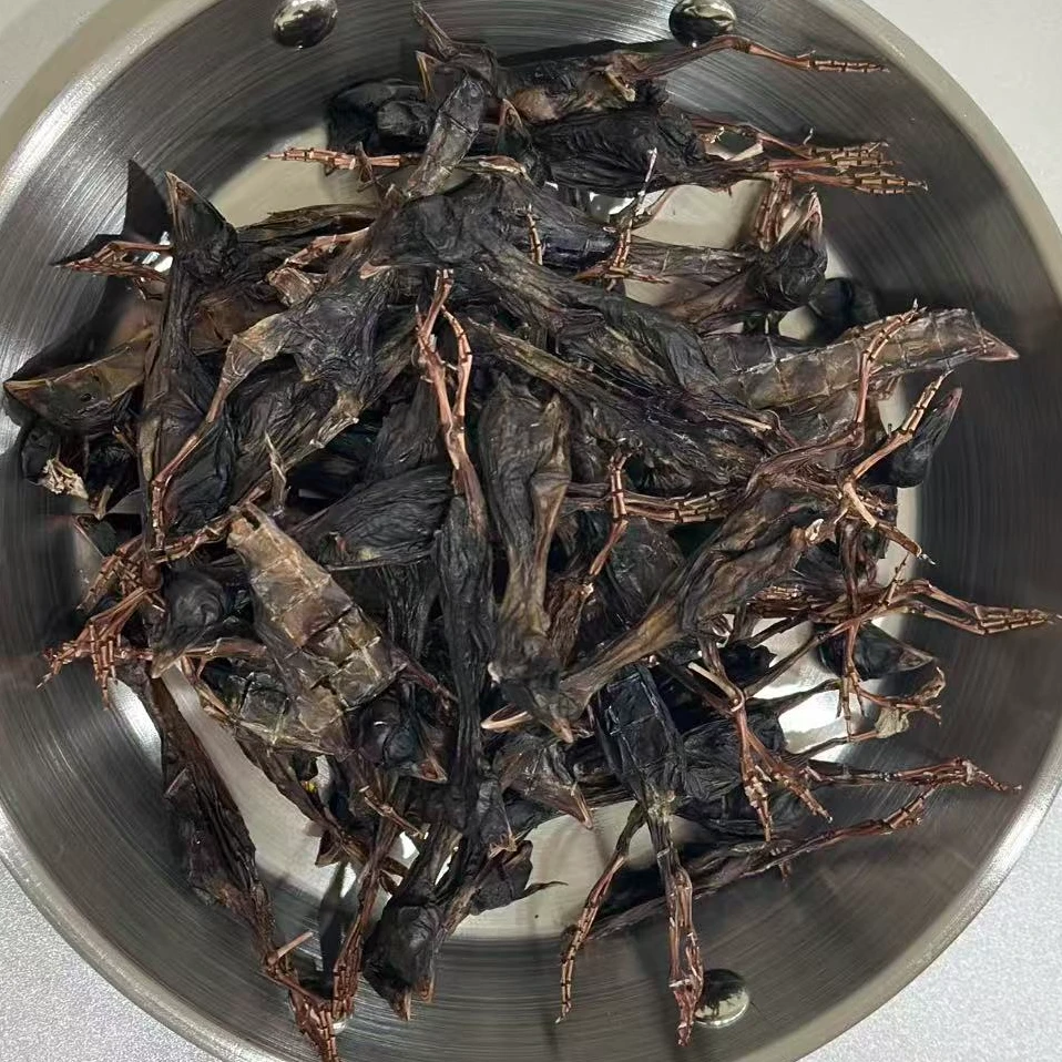 宠物烘干小鹌鹑手工自制营养丰富堪称小宝界小人参