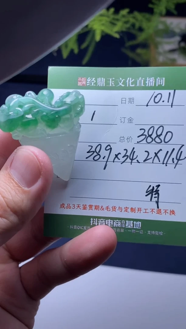 颈饰未镶嵌翡翠貔貅