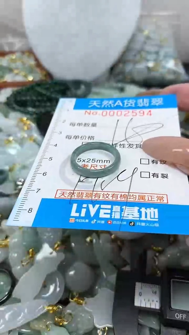 翡翠未镶嵌颈饰净货挂件-2594