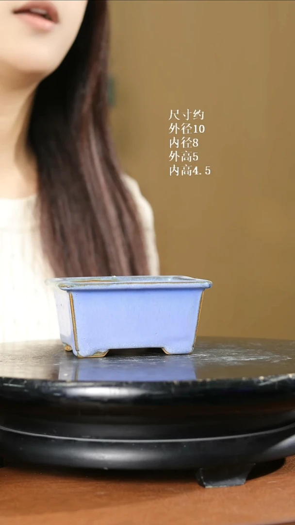 掌中宝      366
