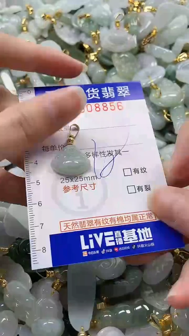 颈饰未镶嵌翡翠纯天然a货翡翠