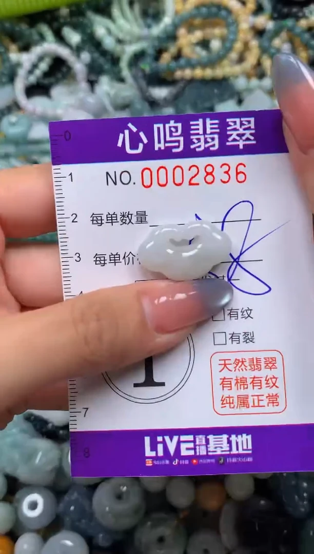 颈饰未镶嵌翡翠闪购002836