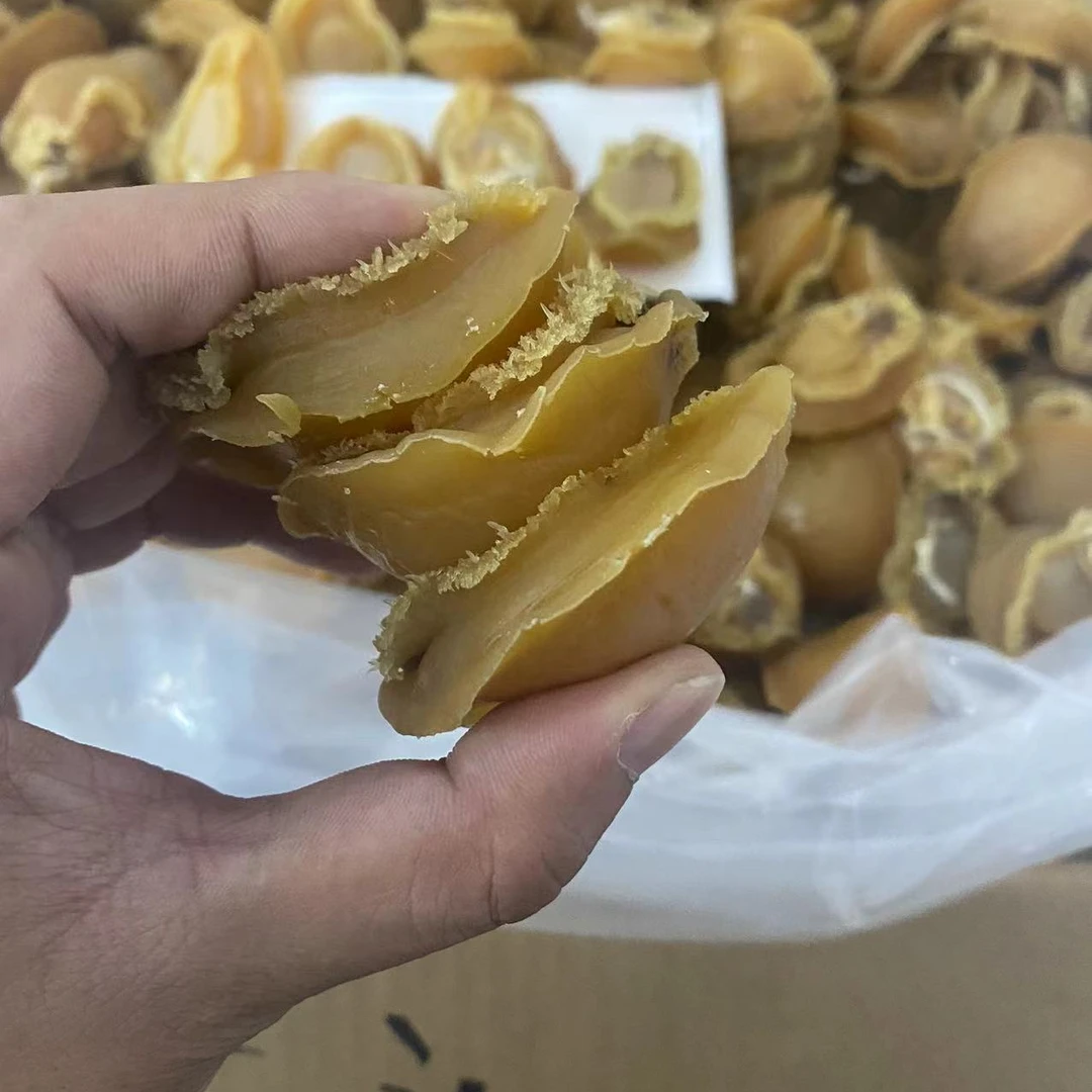 25头大连鲍鱼250g-500g