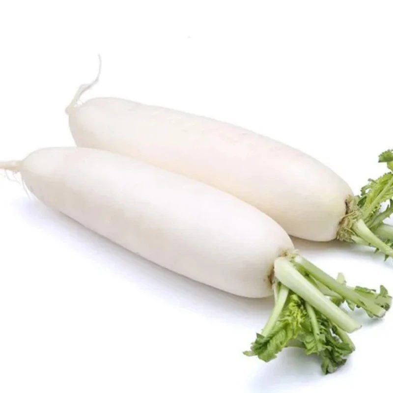 白萝卜约1400g