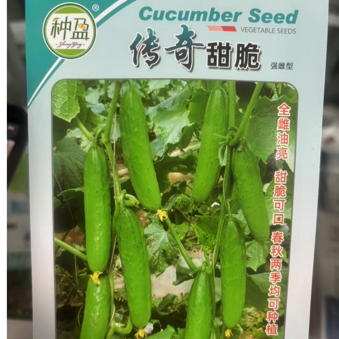 传奇甜脆黄瓜种子