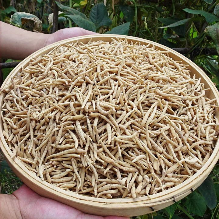 现收山货 太子参 煲汤煮水