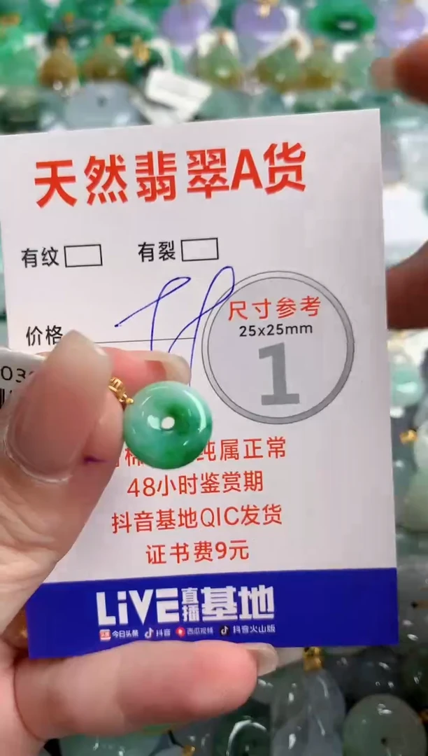 翡翠18K金镶嵌颈饰14005447