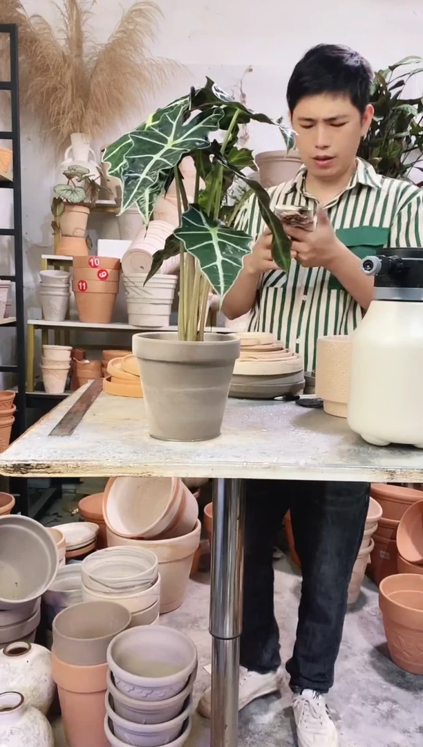 瑕疵无售后15*14灰陶 2盆无托