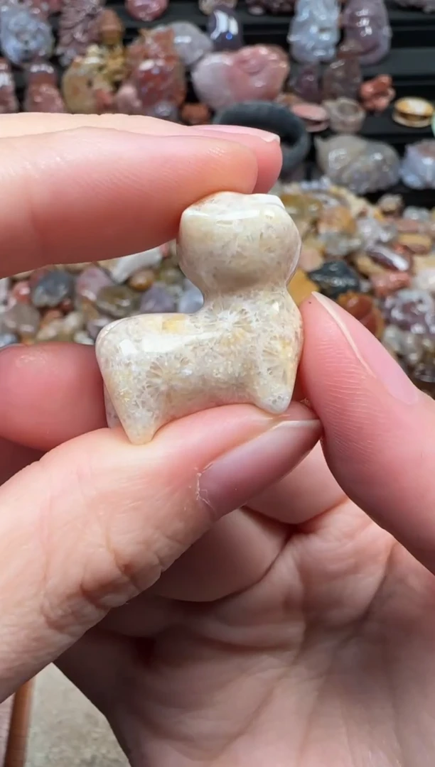 颈饰未镶嵌硅化珊瑚（珊瑚玉）690