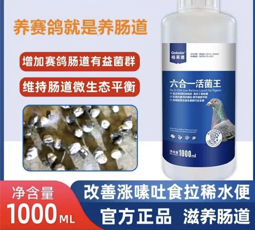 六合一活菌王信赛鸽肠道调理营养保健品鸽用益生菌鸽子鸽药
