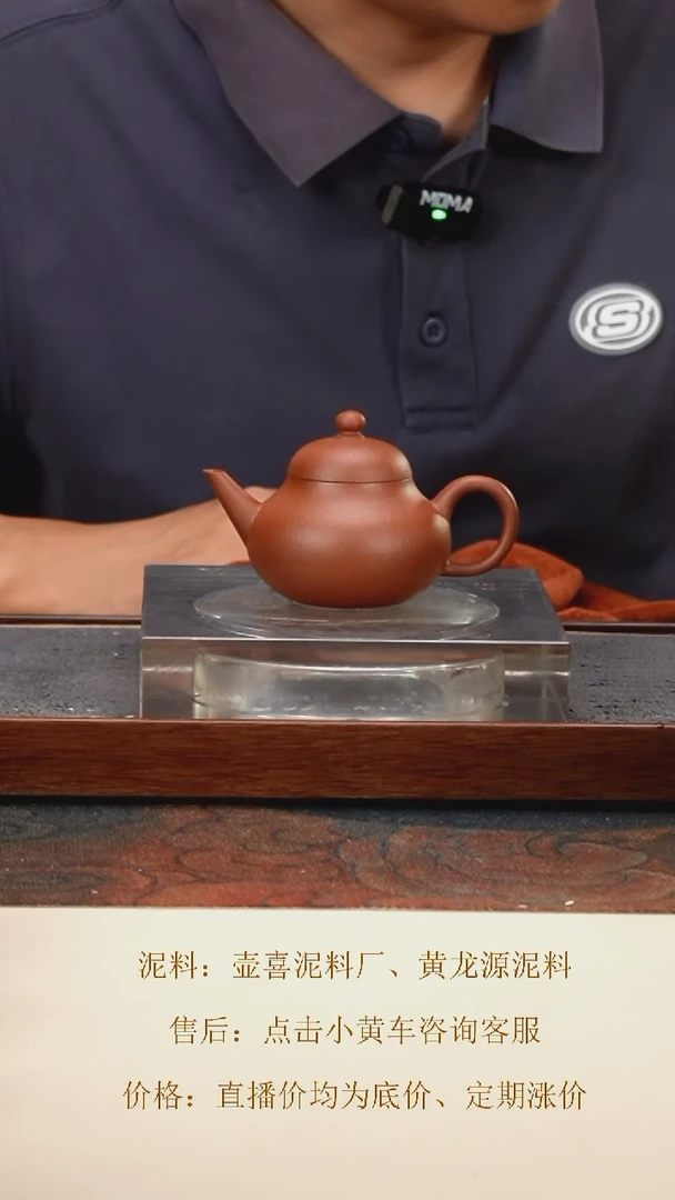 茶壶紫砂 芭乐水平 老宕口清水泥 110cc 钱币孔