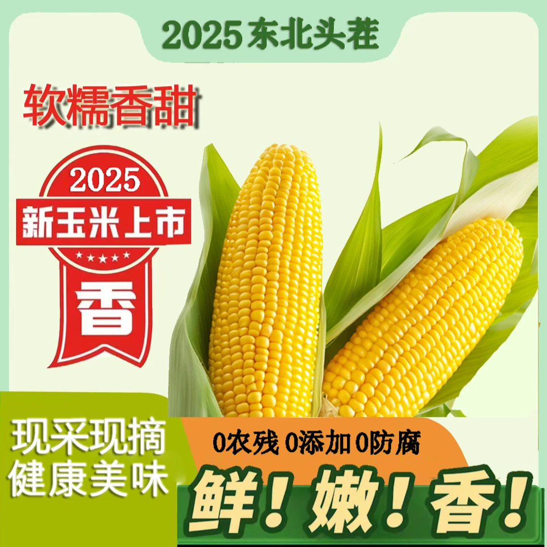 25年东北头茬真空黄糯玉米280g-350g整箱6斤到手10棒支持2棒试吃