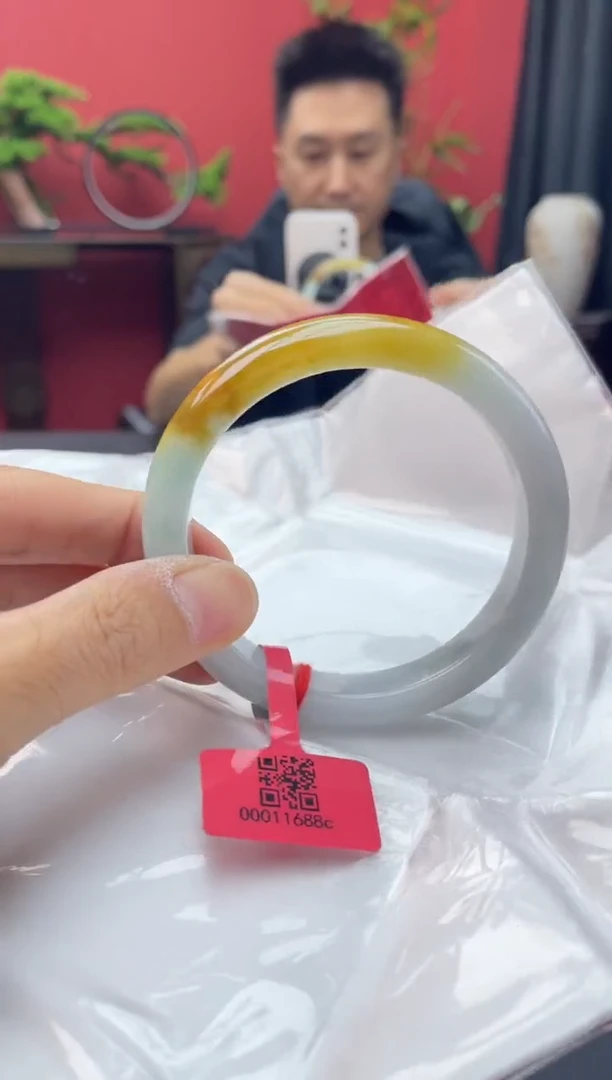 未镶嵌手镯翡翠2