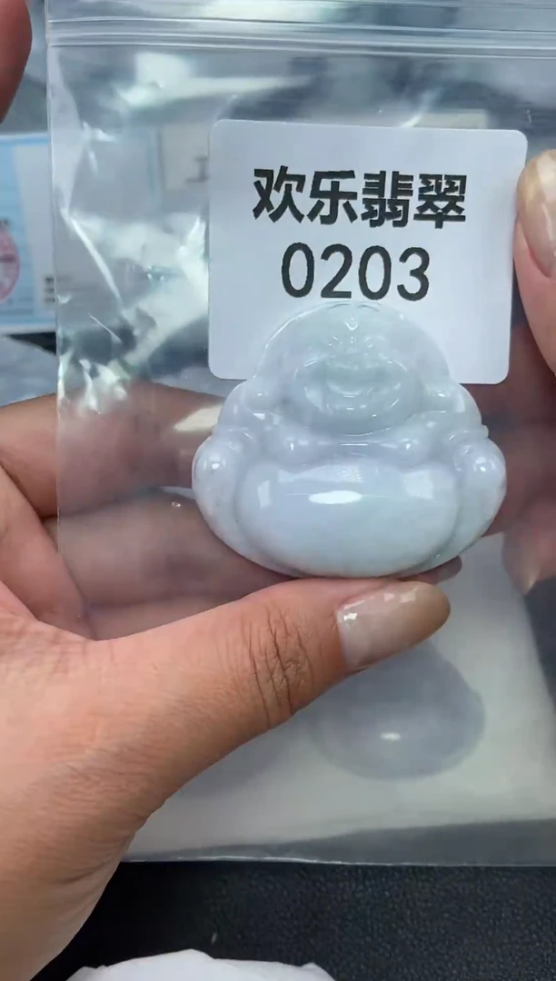 颈饰未镶嵌翡翠缅甸天然翡翠0203