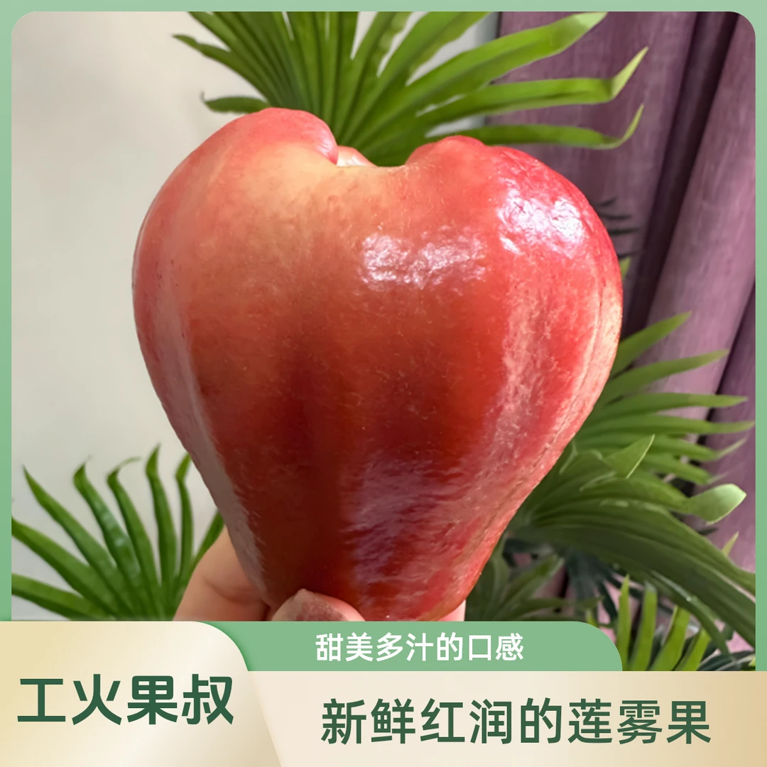 严选莲雾 一个