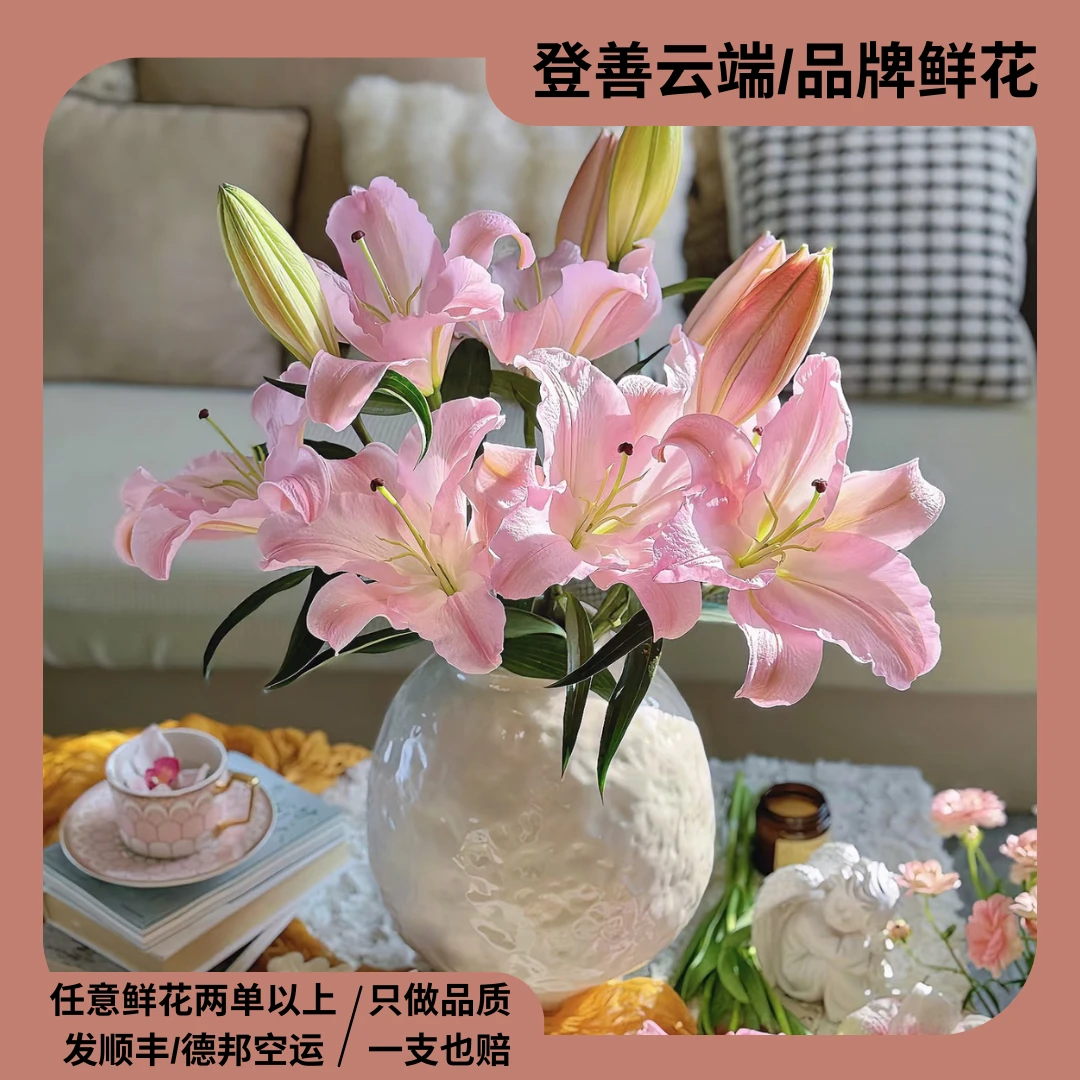 【登善云端】星光单瓣香水百合花水培云南昆明鲜花直发云南鲜花
