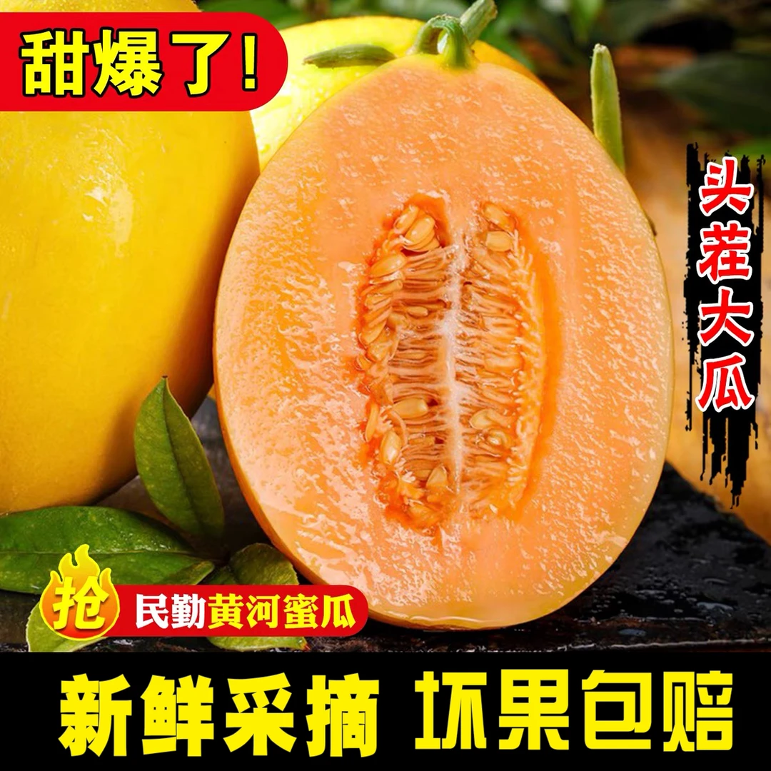 【甘肃民勤直发】沙漠蜜瓜黄河蜜甜瓜带箱新鲜水果当季整箱包邮
