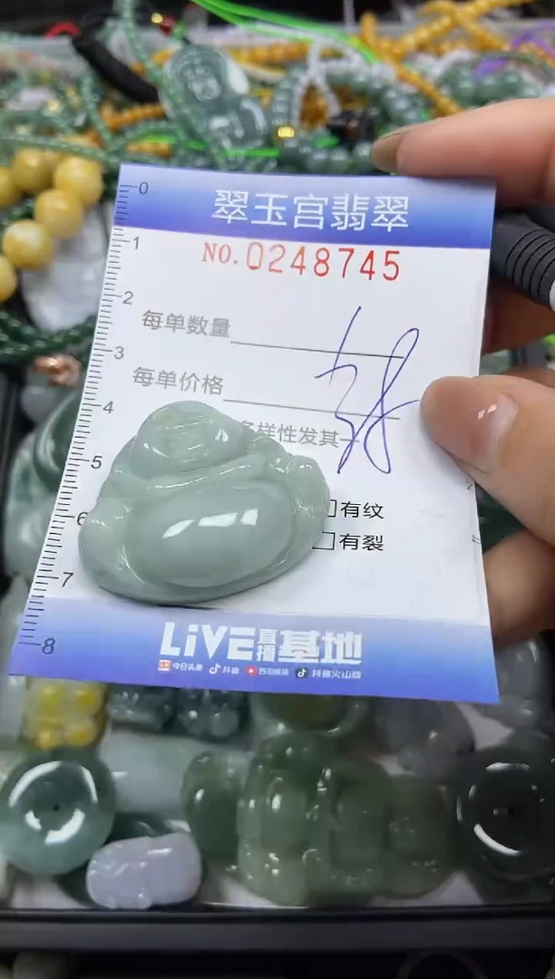 颈饰未镶嵌翡翠闪购C0248745