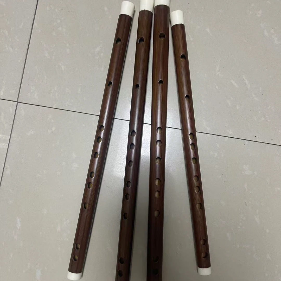 古风紫竹苦竹零基础初学成人一物一拍