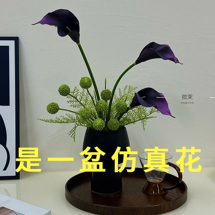 微茉直播花时尚休闲
