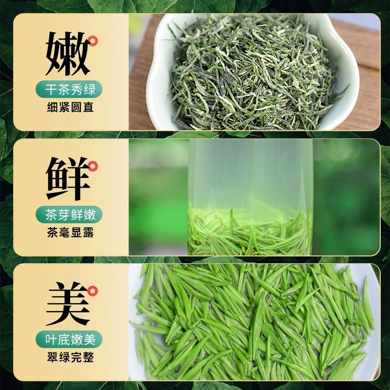 明前绿茶毛尖云雾嫩芽春茶浓香型耐泡茶叶
