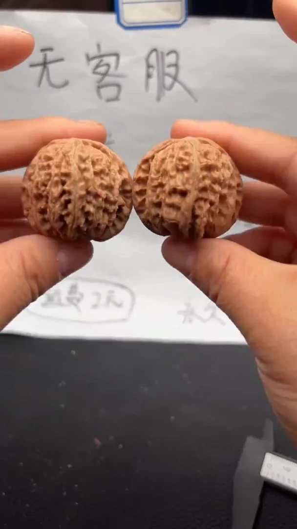 把件文玩核桃498白狮子