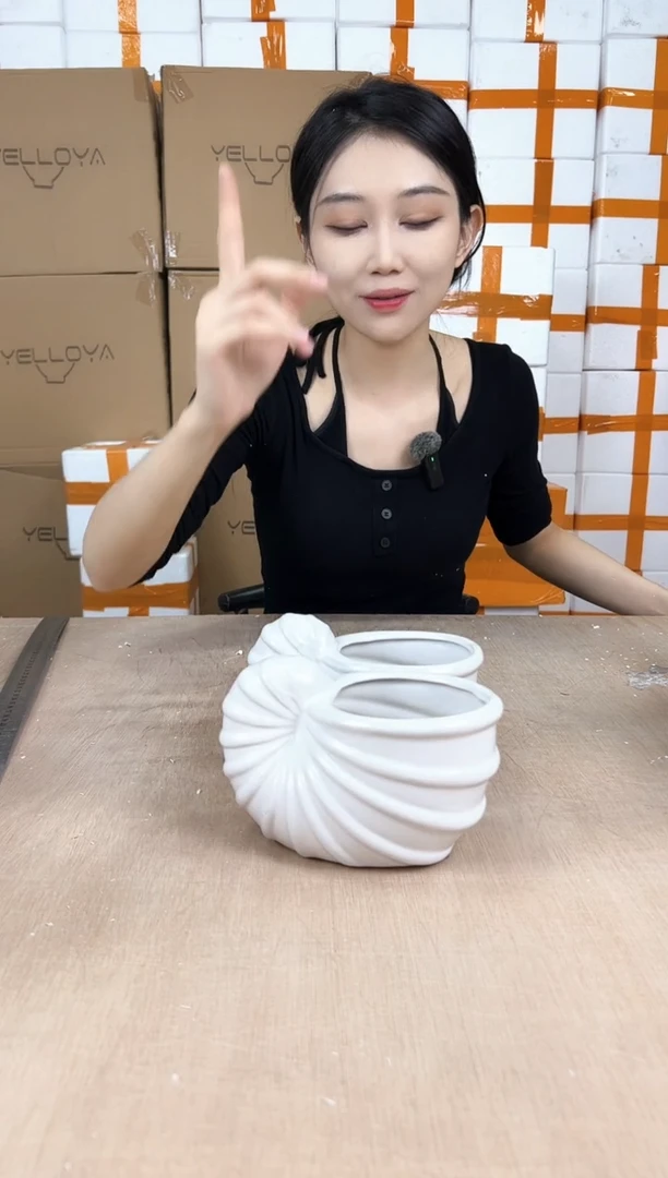 2海螺白色小号10x16x9