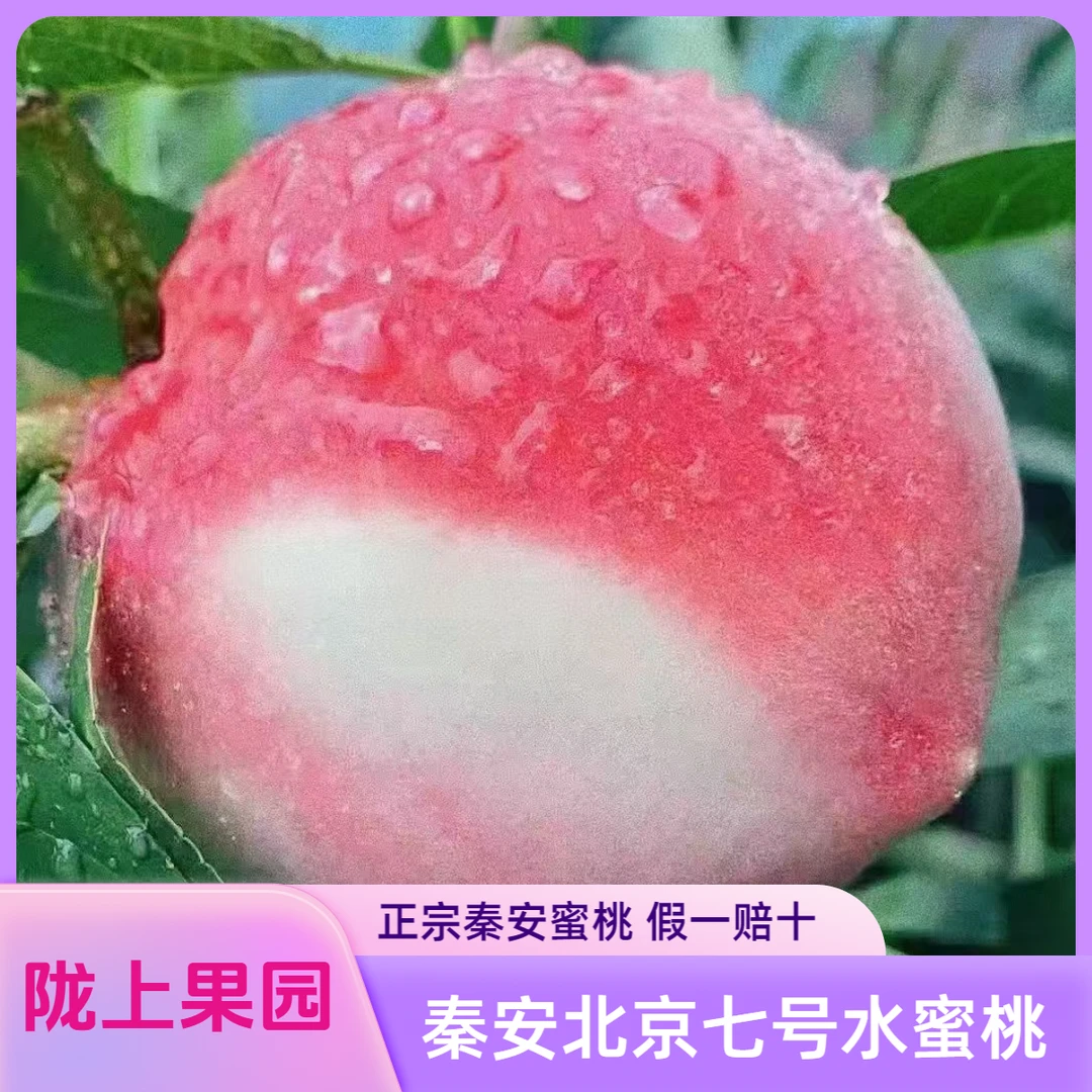 【新疆 西藏专拍】秦安蜜桃 北京七号