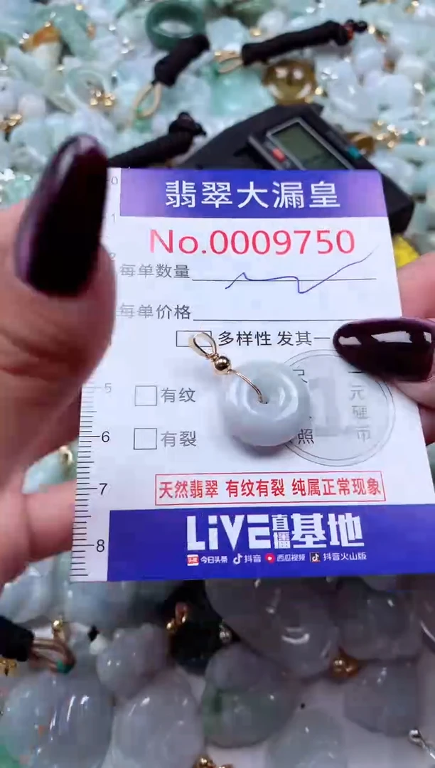 颈饰未镶嵌翡翠9750