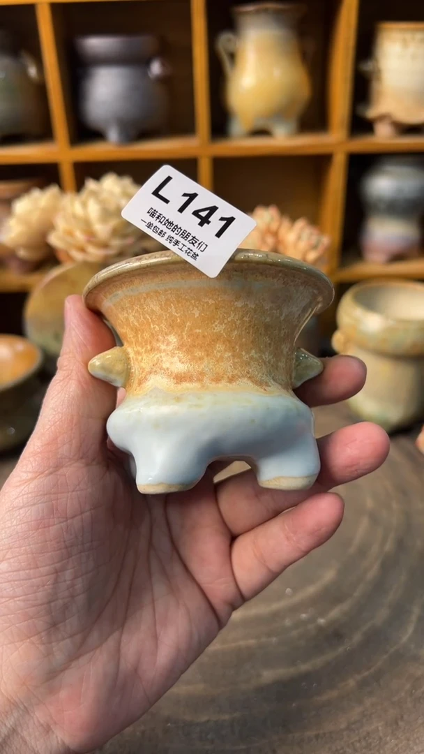 141 内口6【多肉花盆多肉盆】